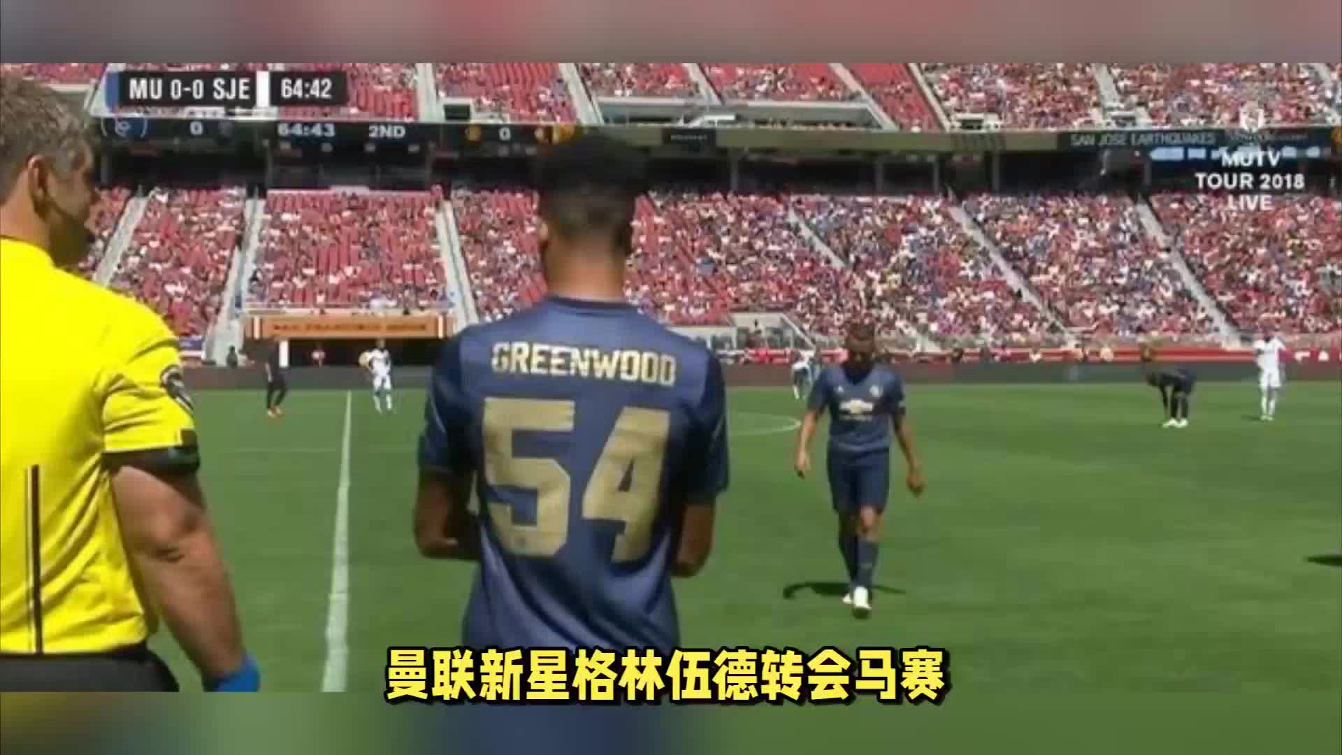 布莱顿球